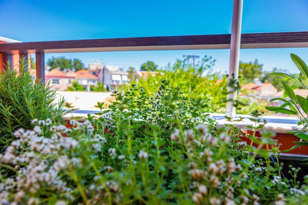 Koukounari Living Spaces Preweza Zewnętrze zdjęcie