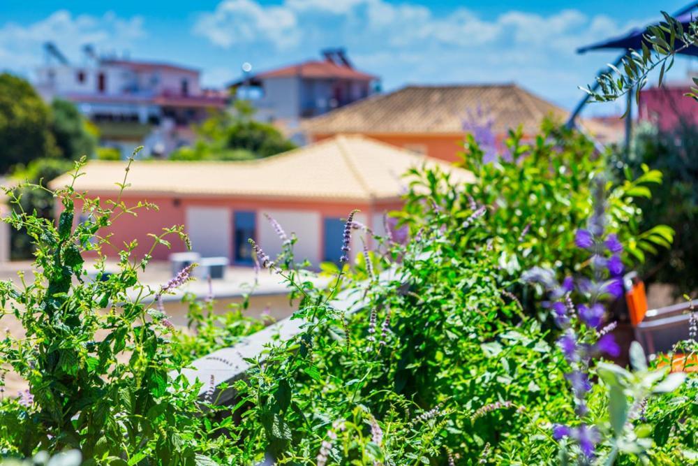 Koukounari Living Spaces Preweza Zewnętrze zdjęcie